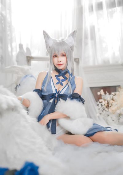 给野兽献花