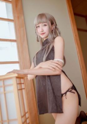 恐龙战队兽连者