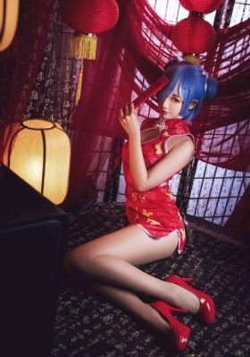 骆驼蜘蛛